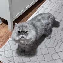 Thumbnail photo of Stormi #2