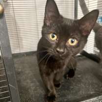 Thumbnail photo of Carly #2