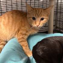 Thumbnail photo of Usher #1