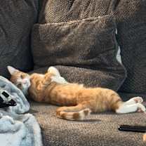 Thumbnail photo of Big Back #3