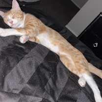 Thumbnail photo of Big Back #4