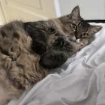 Thumbnail photo of Charlene #4