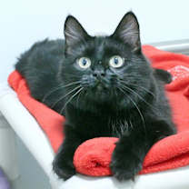 Thumbnail photo of Fiorella #1