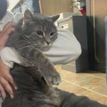 Thumbnail photo of Markus #2