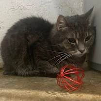 Thumbnail photo of Markus #3