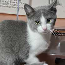 Thumbnail photo of Betsie #1