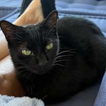 Thumbnail photo of Potter #3