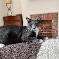 Thumbnail photo of Arthur #4