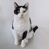 Thumbnail photo of Stuart #2