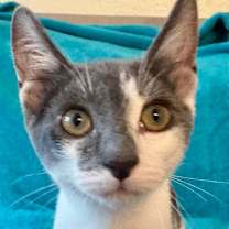 Thumbnail photo of Leona #3