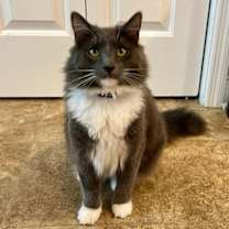 Thumbnail photo of Stormy #3