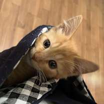 Thumbnail photo of Crash #4