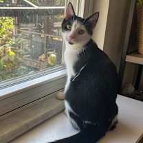 Thumbnail photo of Louise #3