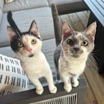 Thumbnail photo of Louise #4