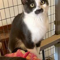 Thumbnail photo of Will Chaplin #4