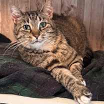 Thumbnail photo of Lucy Ramishvili #1