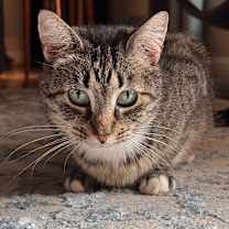 Thumbnail photo of Lucy Ramishvili #4