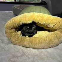 Thumbnail photo of Winnie #3