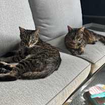 Thumbnail photo of Kalamazoo #2