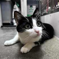 Thumbnail photo of Yukon #3