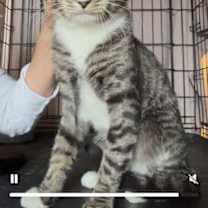 Thumbnail photo of Oliver #4