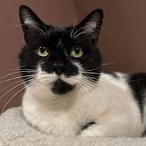 Thumbnail photo of Mr. Kiki #3