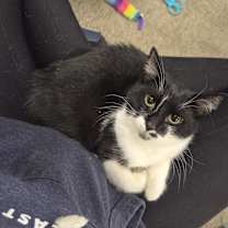 Thumbnail photo of Rice-A-Roni #1