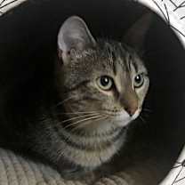 Thumbnail photo of Jodie #3