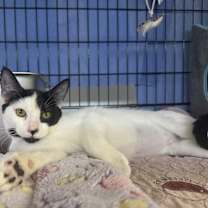 Thumbnail photo of Arlene #3