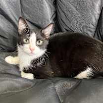 Thumbnail photo of Samuel #3