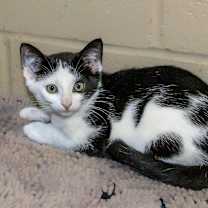 Thumbnail photo of Elise #3