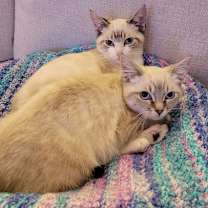 Thumbnail photo of Nautilus and Sandy #1