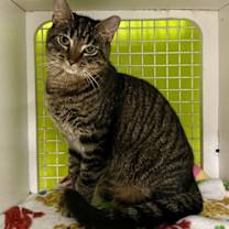 Thumbnail photo of Ludwig #1