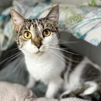 Thumbnail photo of Zoey #1