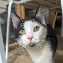 Thumbnail photo of Louise #1