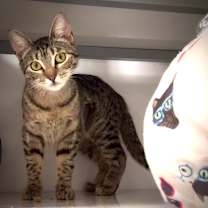 Thumbnail photo of Francine Smith #2