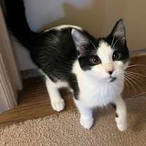 Thumbnail photo of Alia #2