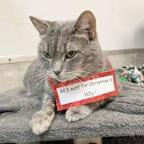 Thumbnail photo of Daisy #2