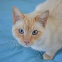 Thumbnail photo of Jenkins #4