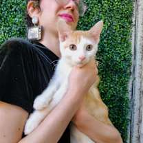 Thumbnail photo of Ghost Pepper #1