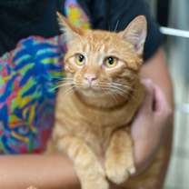 Thumbnail photo of Jason #2