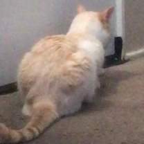 Thumbnail photo of Oli #2