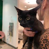 Thumbnail photo of Mavis #2