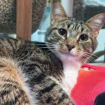 Thumbnail photo of Zander #2