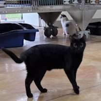 Thumbnail photo of Karina #4