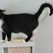 Thumbnail photo of Sharon Pawsbourne #1