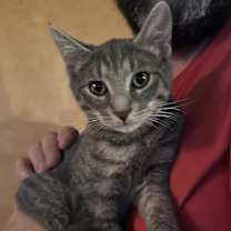 Thumbnail photo of Cooper #2