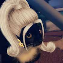 Thumbnail photo of pip #2