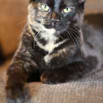 Thumbnail photo of Rizz ⭐️ #2