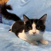 Thumbnail photo of Mugsy #3